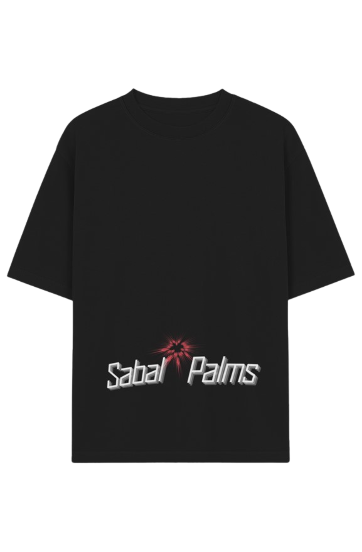 POINTE RETRO GARMENT DYED T-SHIRT