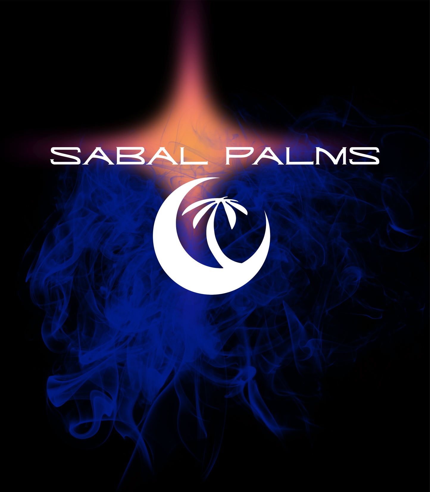 BACKROOMS PHANTOM GARMENT DYED PREMIUM T-SHIRT